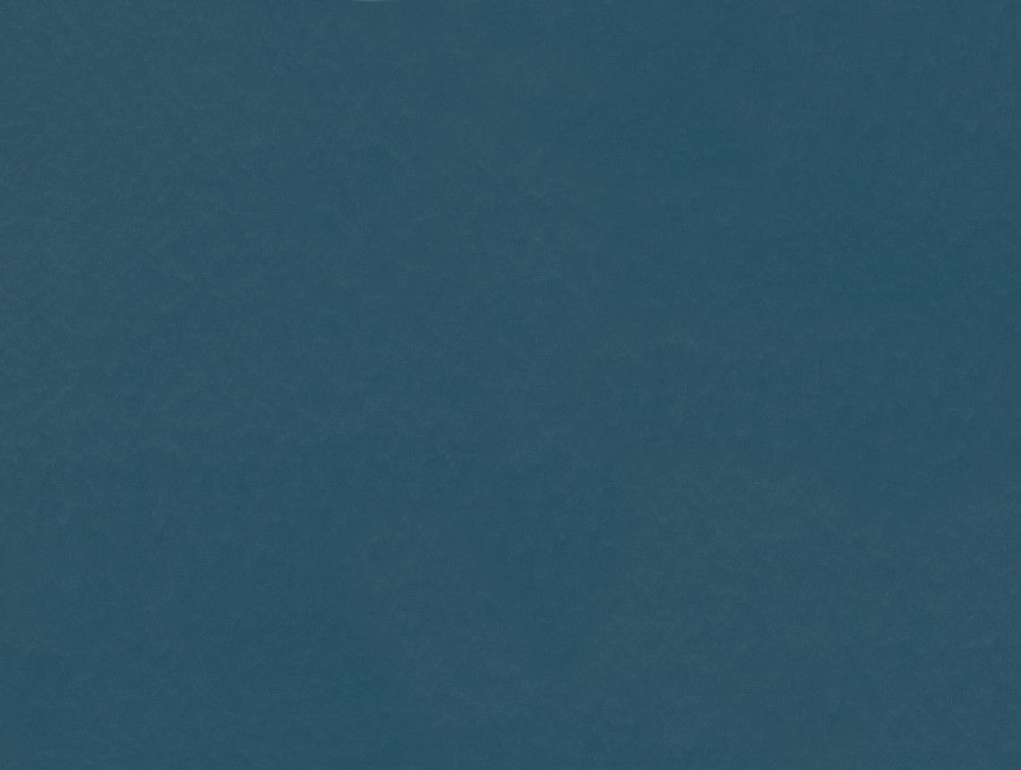 Marmoleum Walton - 3358 petrol